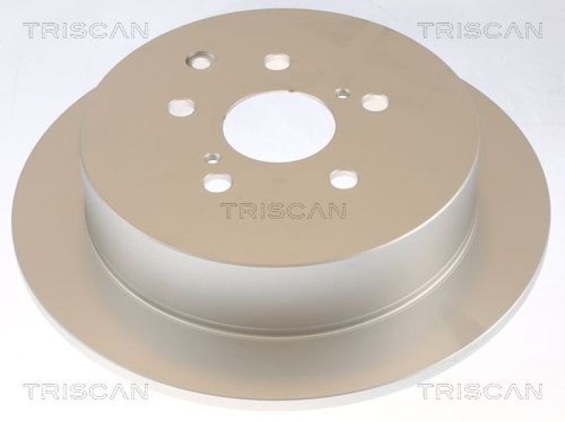 2x TRISCAN Bremsscheibe 8120 131039c