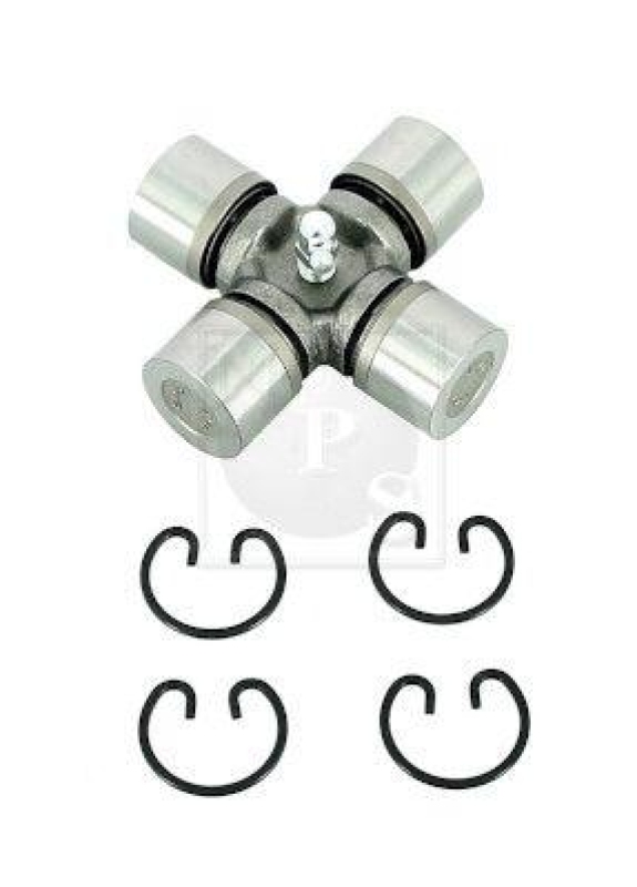 NPS Achsstern, Ausgleichskegelrad-Differential