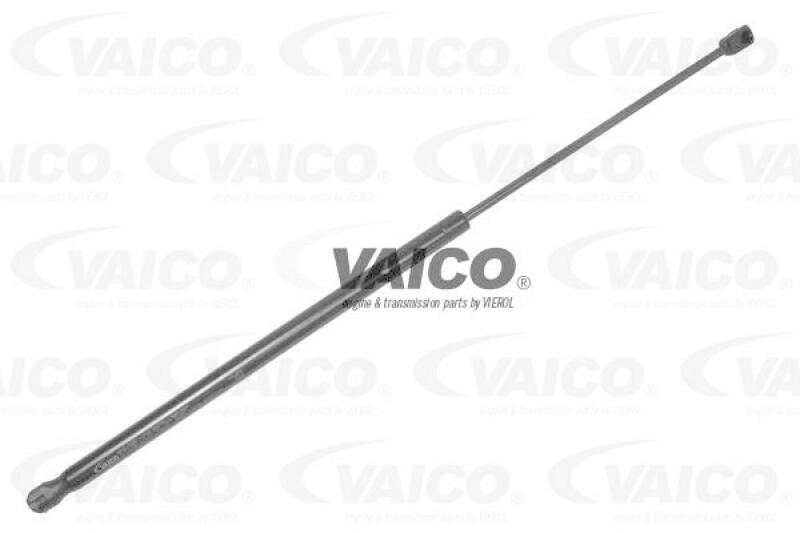 VAICO Gasfeder, Motorhaube Green Mobility Parts