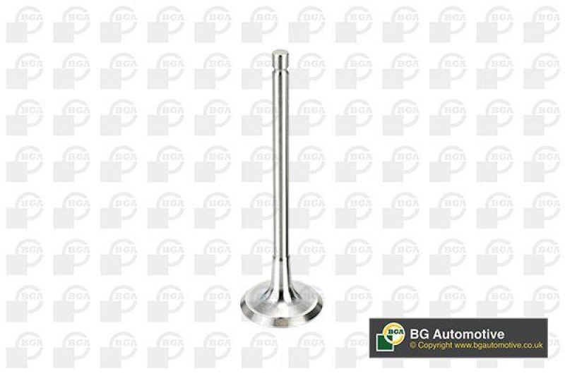 BGA Intake Valve