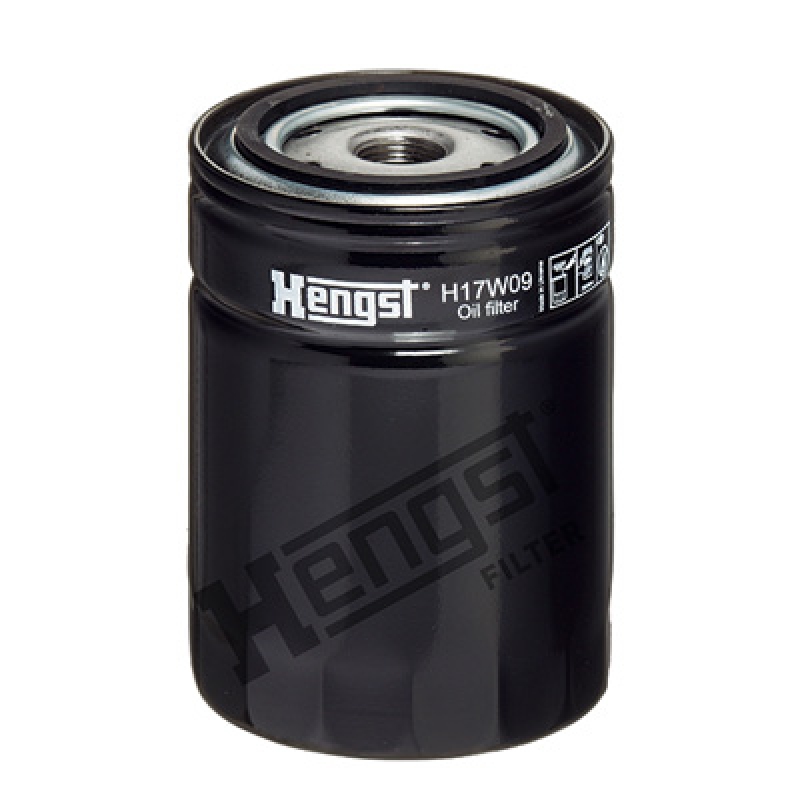 HENGST FILTER Air Filter, compressor intake