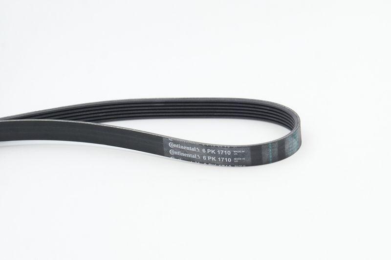 CONTINENTAL CTAM V-Ribbed Belt