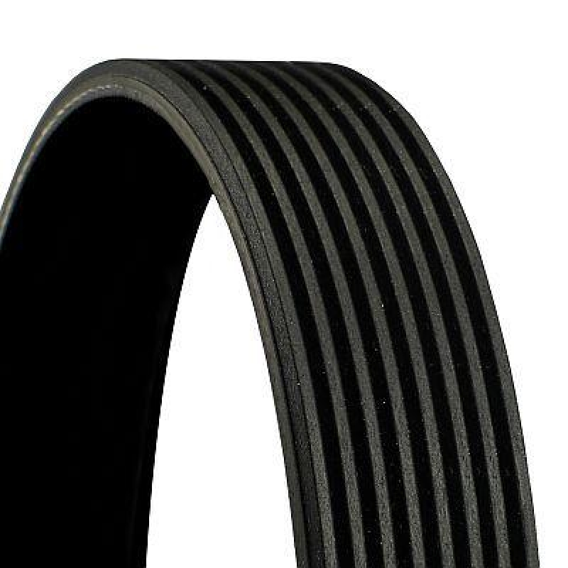 CONTINENTAL CTAM Keilrippenriemen 8PK2546