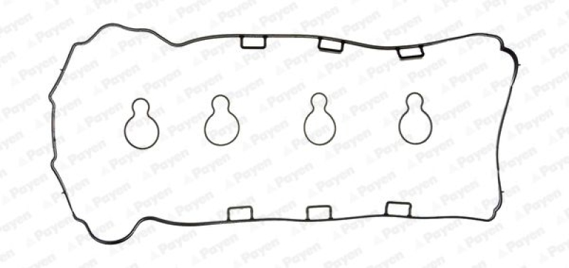 PAYEN Gasket Set, cylinder head cover