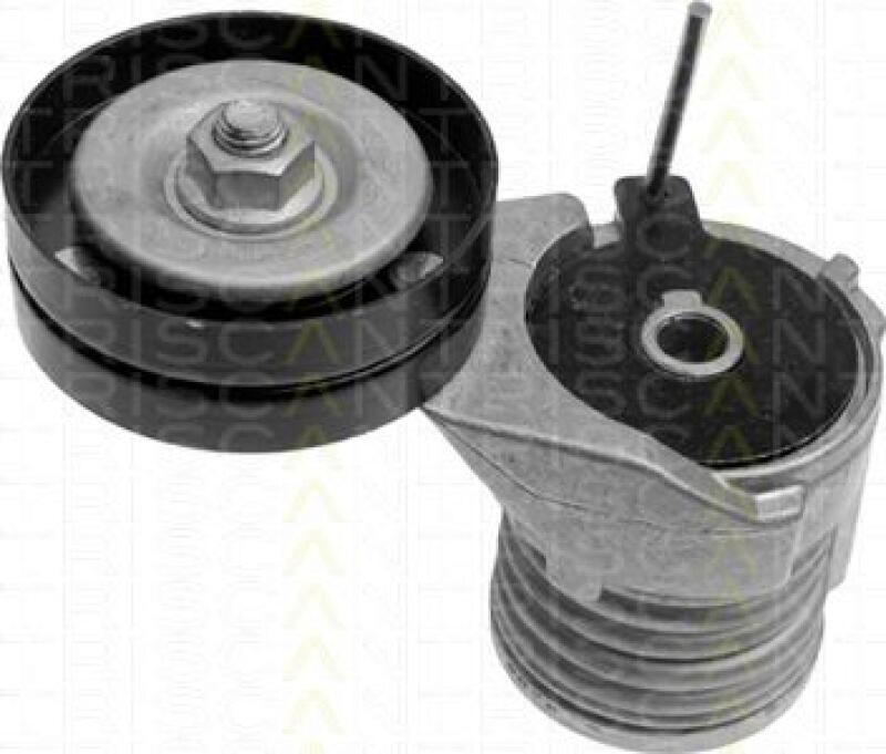 TRISCAN Tensioner Lever, v-ribbed belt