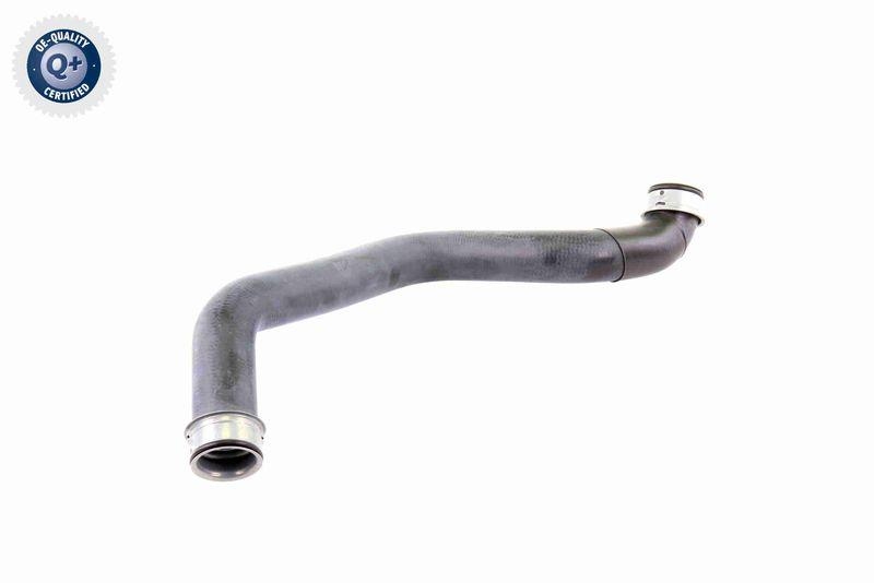VAICO Radiator Hose Green Mobility Parts
