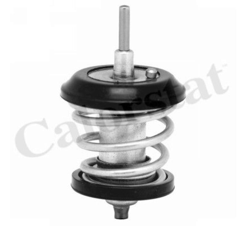 CALORSTAT by Vernet Thermostat, coolant