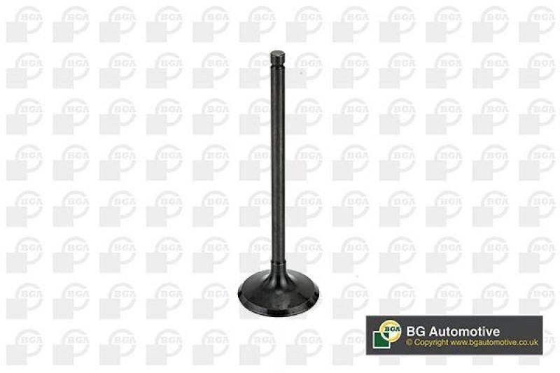 BGA Intake Valve