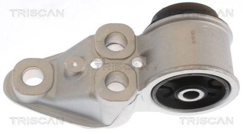 TRISCAN Mounting, axle beam