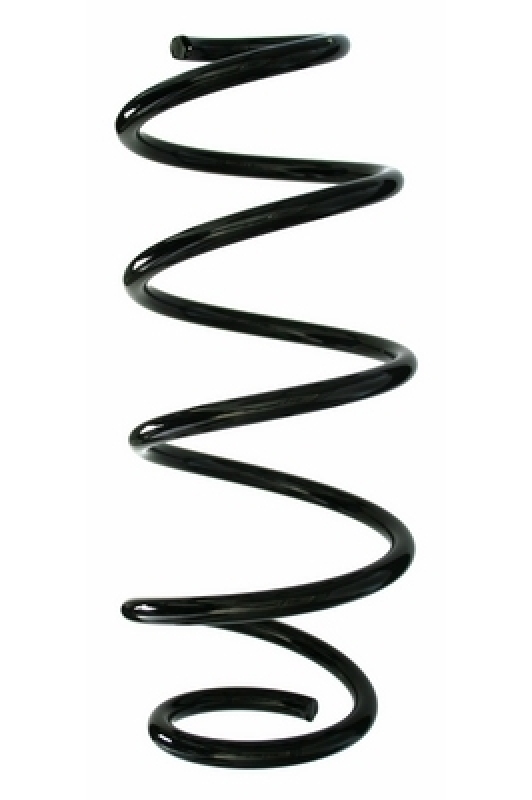 SPIDAN Suspension Spring