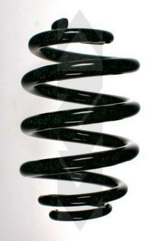 SPIDAN Suspension Spring
