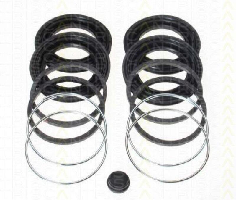 TRISCAN Reparatursatz, Bremssattel 8170 204522