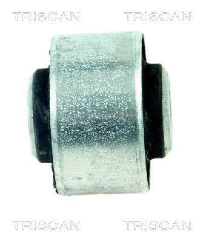 TRISCAN Lagerung, Lenker