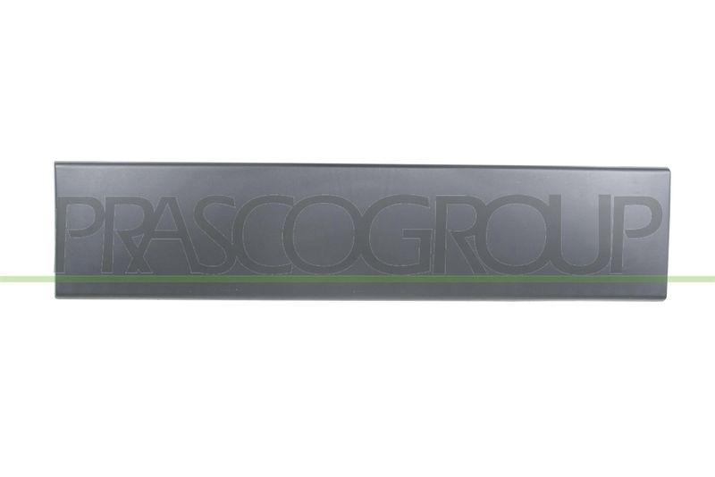 PRASCO Trim/Protection Strip, door
