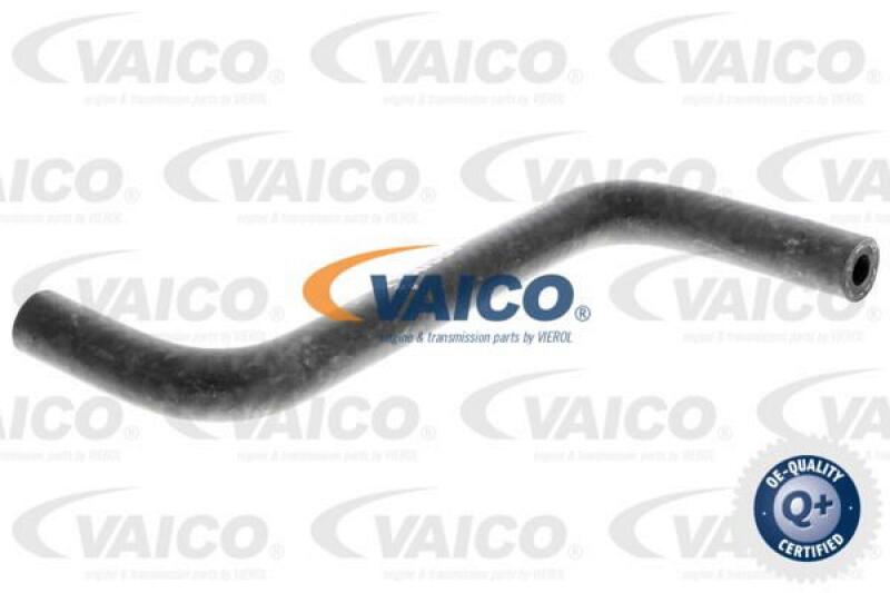 VAICO Radiator Hose Q+, original equipment manufacturer quality