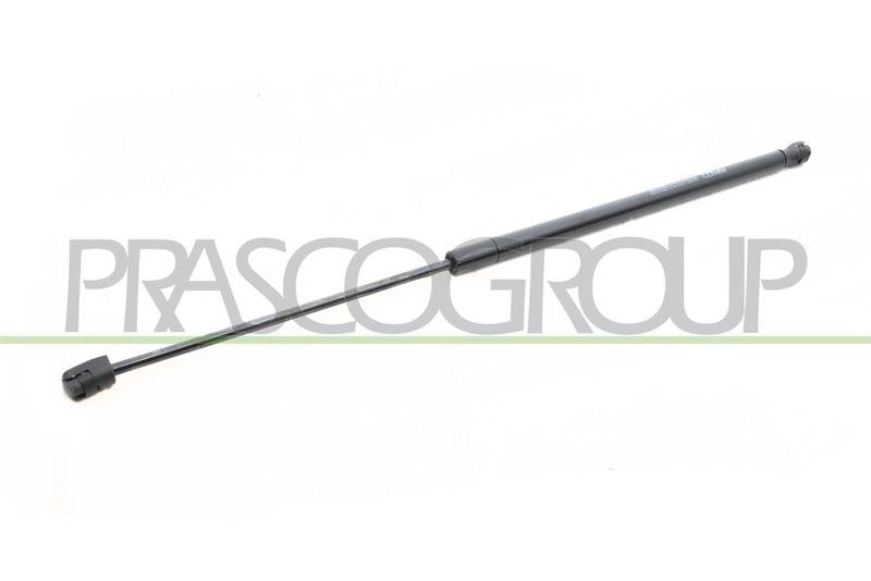PRASCO Gasfeder, Koffer-/Laderaum