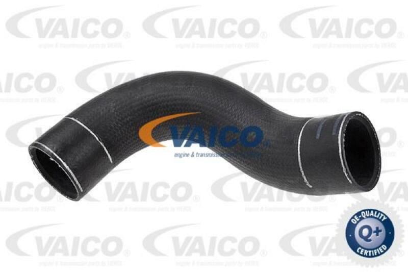 VAICO Charger Air Hose Q+, original equipment manufacturer quality