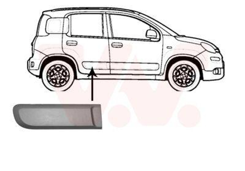 VAN WEZEL Trim/Protective Strip, door