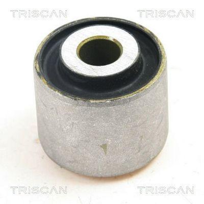 TRISCAN Lagerung, Lenker 8500 29870