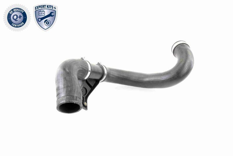 VAICO Ladeluftschlauch EXPERT KITS + V30-2420