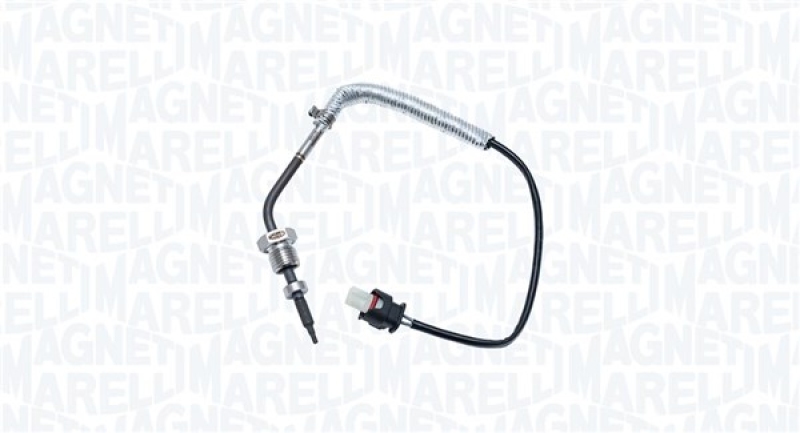 MAGNETI MARELLI Sensor, Abgastemperatur