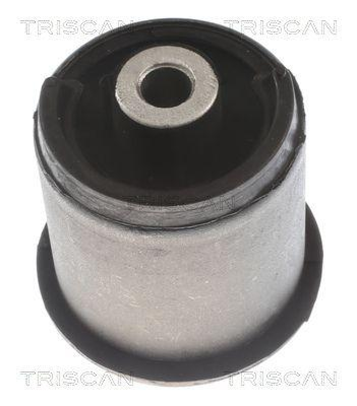 TRISCAN Mounting, axle beam