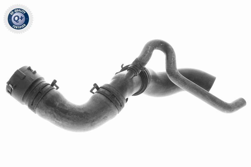 VAICO K&uuml;hlerschlauch Q+, Erstausr&uuml;sterqualit&auml;t