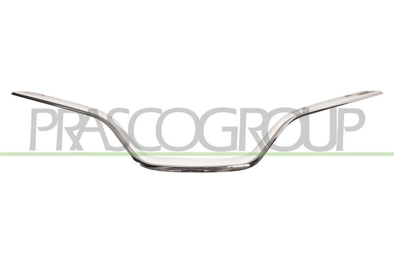 Trim/Protective Strip, radiator grille