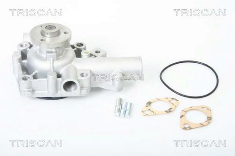TRISCAN Wasserpumpe 8600 10935