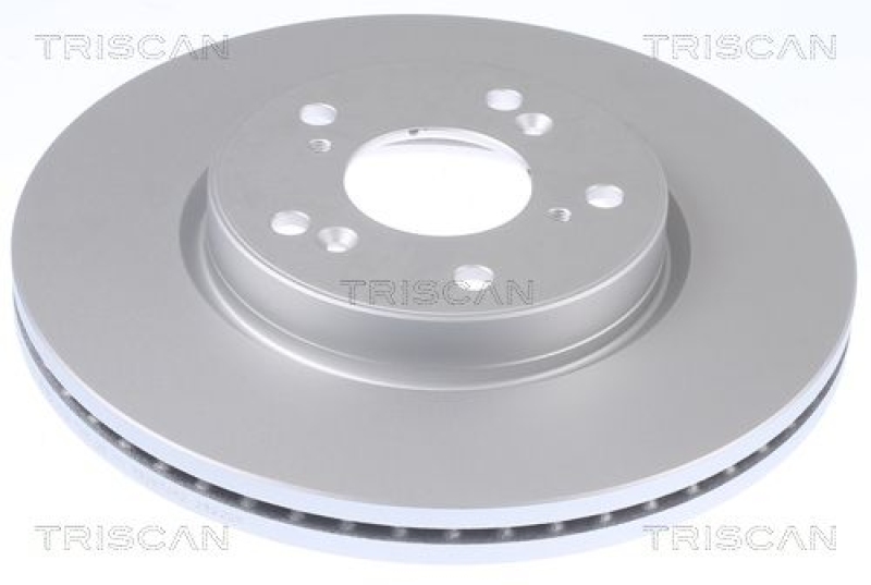 2x TRISCAN Brake Disc