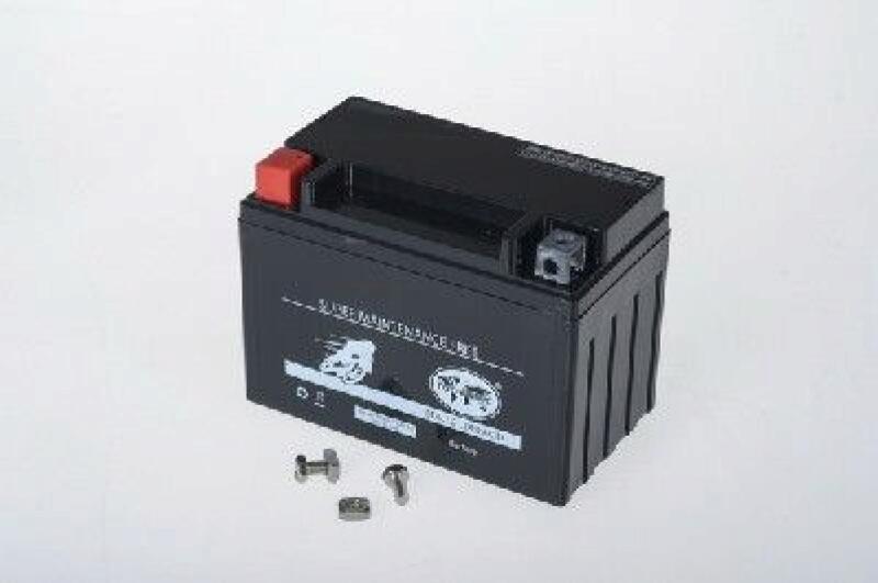 Starter Battery
