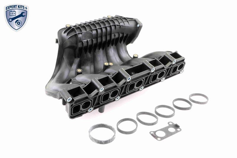 Intake Manifold Module EXPERT KITS +