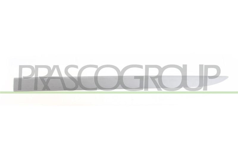 PRASCO Zier-/Schutzleiste, Tür