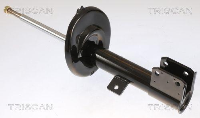 TRISCAN Sto&szlig;d&auml;mpfer 8705 28119