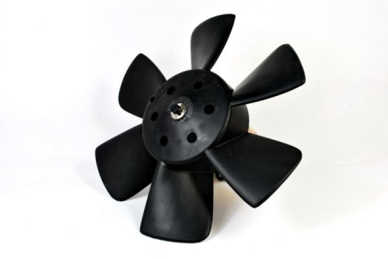 THERMOTEC Fan, radiator