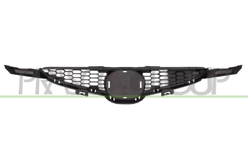 Radiator Grille Premium