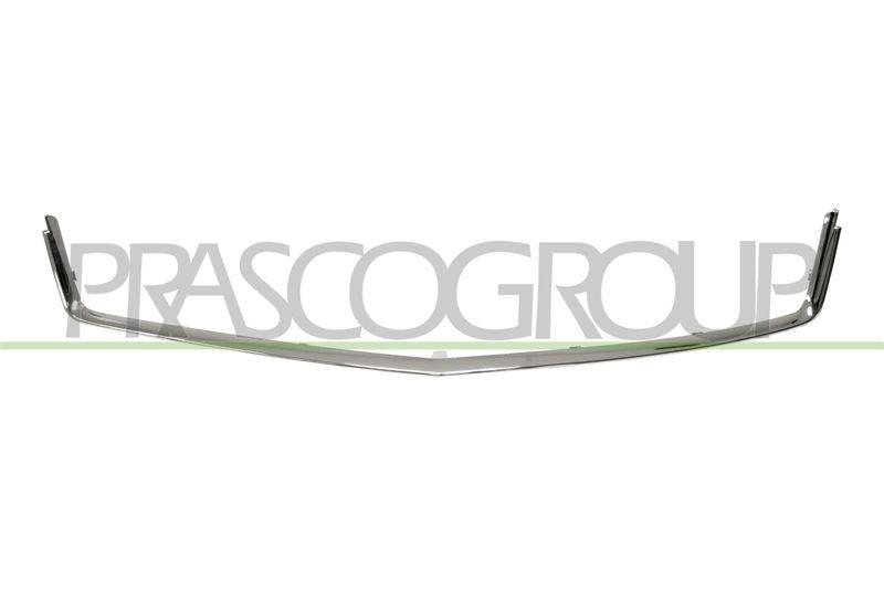 Trim/Protective Strip, radiator grille
