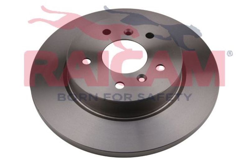 2x RAICAM Brake Disc