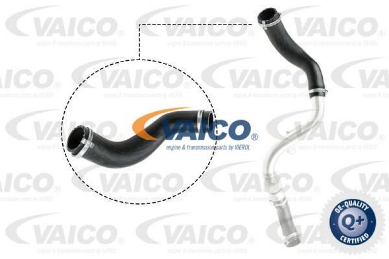 VAICO Charger Air Hose Q+, original equipment manufacturer quality