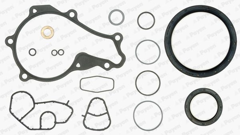 PAYEN Gasket Set, crank case