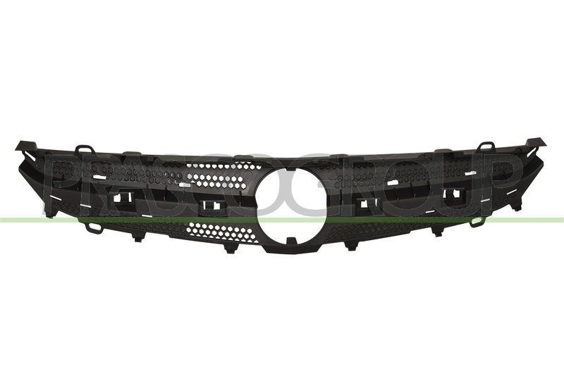 Radiator Grille