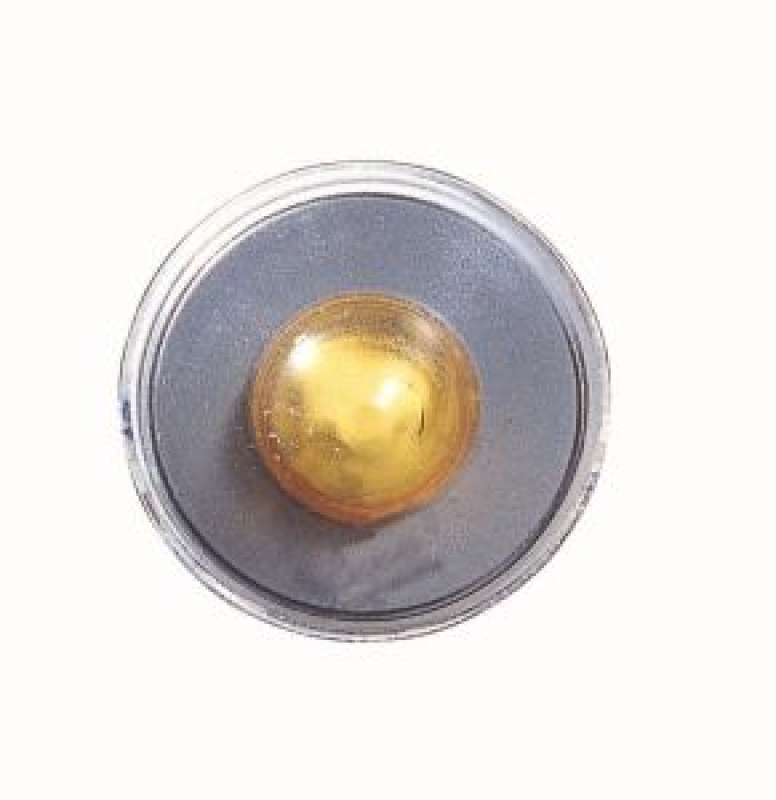 Blinkleuchte Blinker 661-1406N-UE