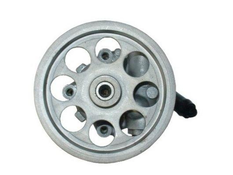 SPIDAN Hydraulikpumpe, Lenkung 53895