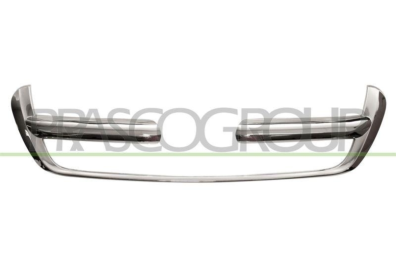 Cover, radiator grille