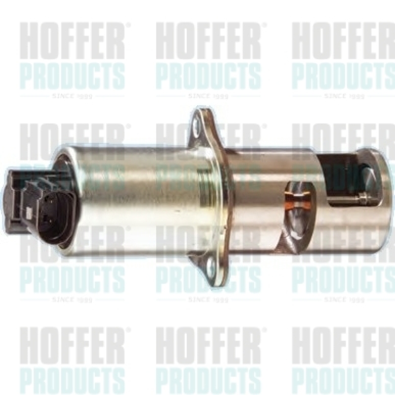 HOFFER AGR-Ventil