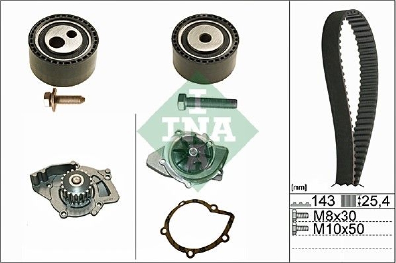 INA Water Pump & Timing Belt Set