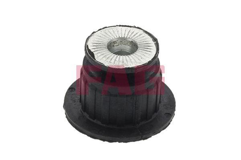 Schaeffler FAG Lagerung, Achsträger