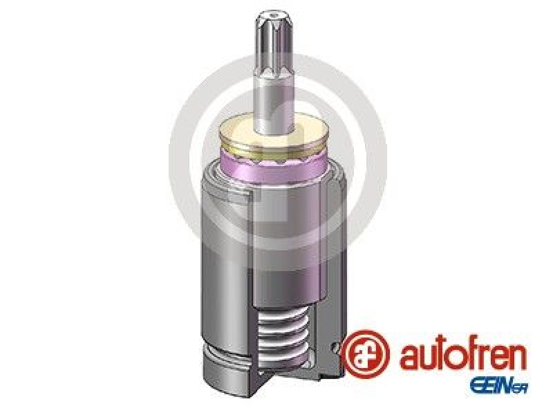 AUTOFREN SEINSA Piston, brake caliper
