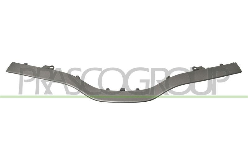 Trim/Protective Strip, radiator grille