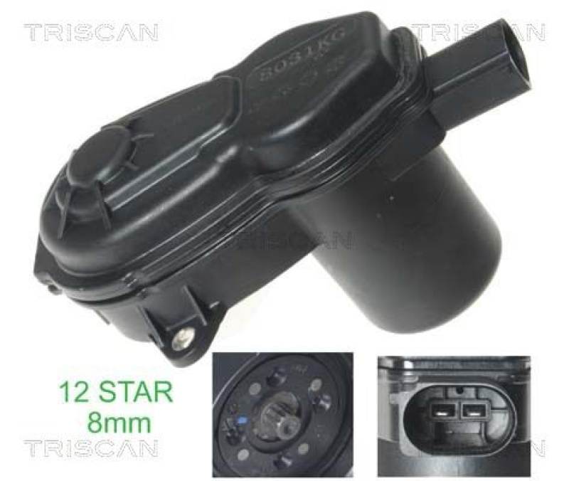 TRISCAN Control Element, parking brake caliper